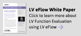 LV eFlow White Paper Download